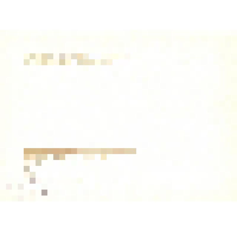 Комплект открыток. Семён Михайлович Буденный