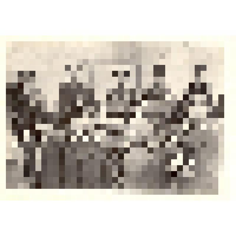 Комплект открыток. Семён Михайлович Буденный