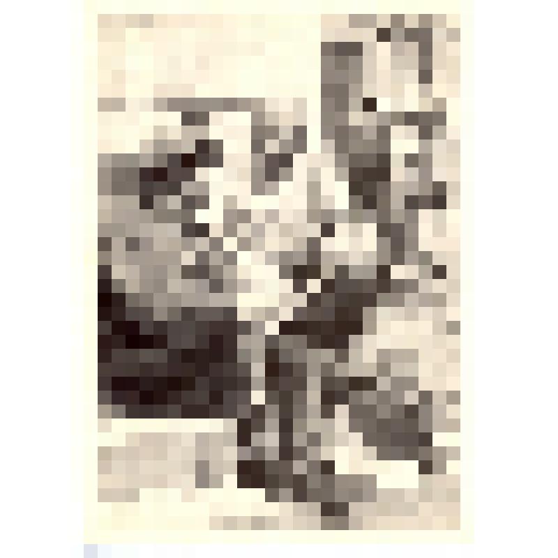 Комплект открыток. Семён Михайлович Буденный