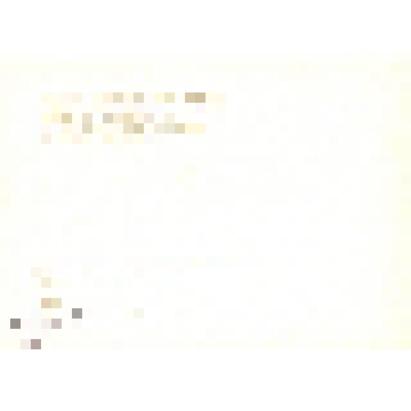 Комплект открыток. Семён Михайлович Буденный