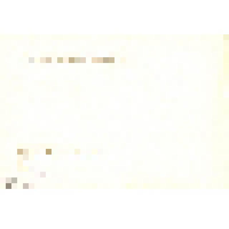 Комплект открыток. Семён Михайлович Буденный