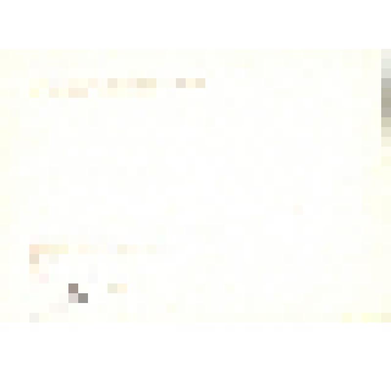 Комплект открыток. Семён Михайлович Буденный