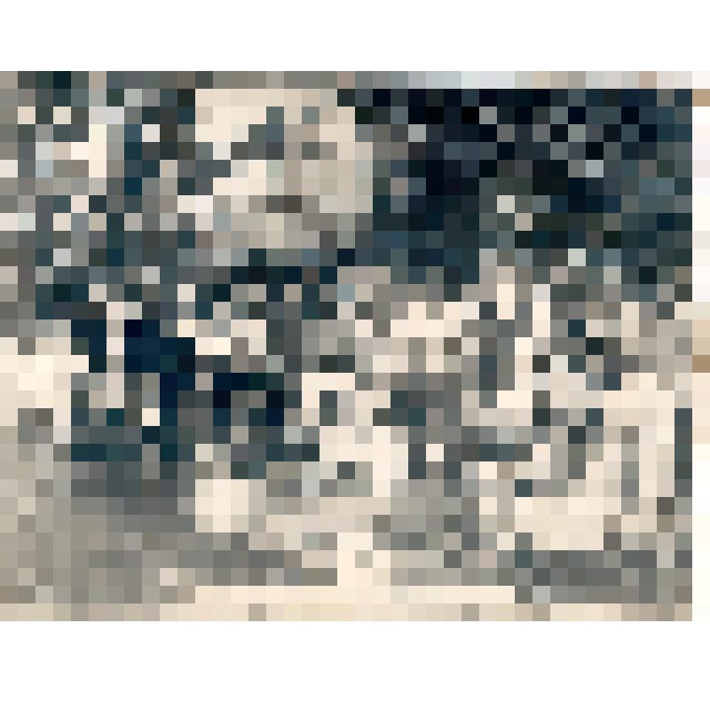 Фотография Ел.Ф.Гнесиной в группе отдыхающих в санатории ЦЕКУБУ. Кисловодск, 16/VI-1927 г