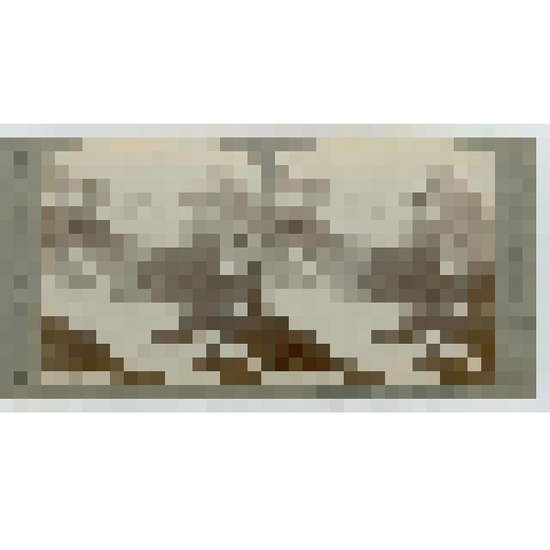 Швейцария. Вершина Пилата. Underwood & Underwood