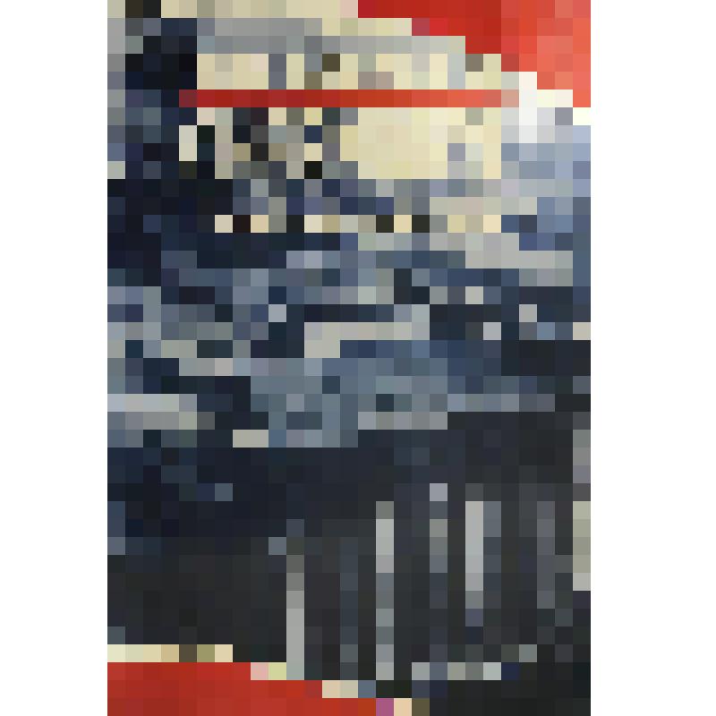 Книга. The Legacy of Chernobyl