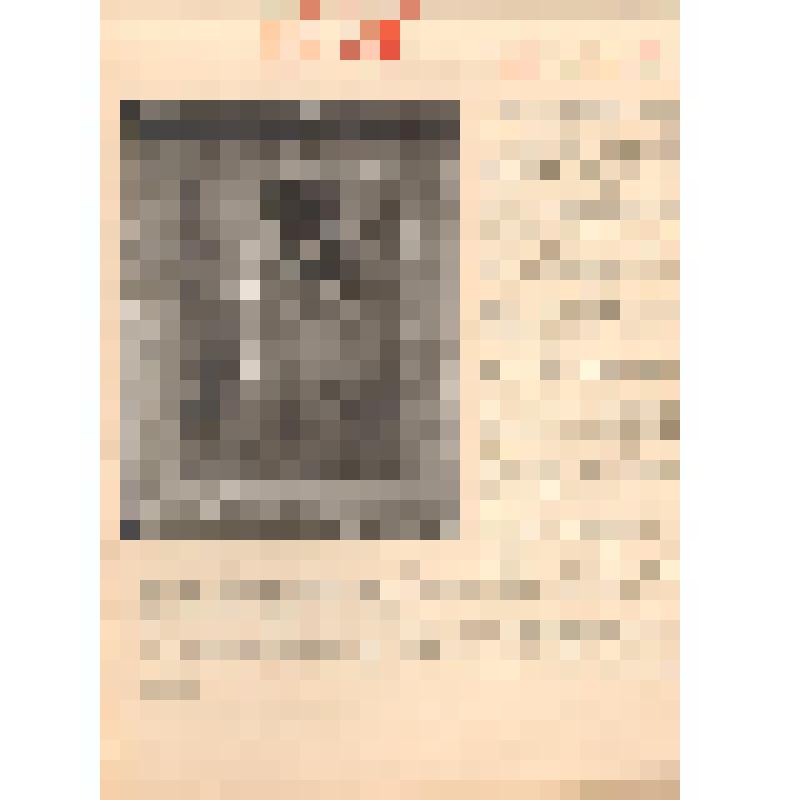 Реставрационный паспорт к иконе "Пророк Соломон"