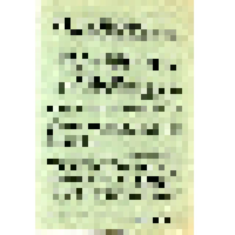 Издание ГлавПУРККА. Кызыл армиянын батыр: (на татар. яз.)