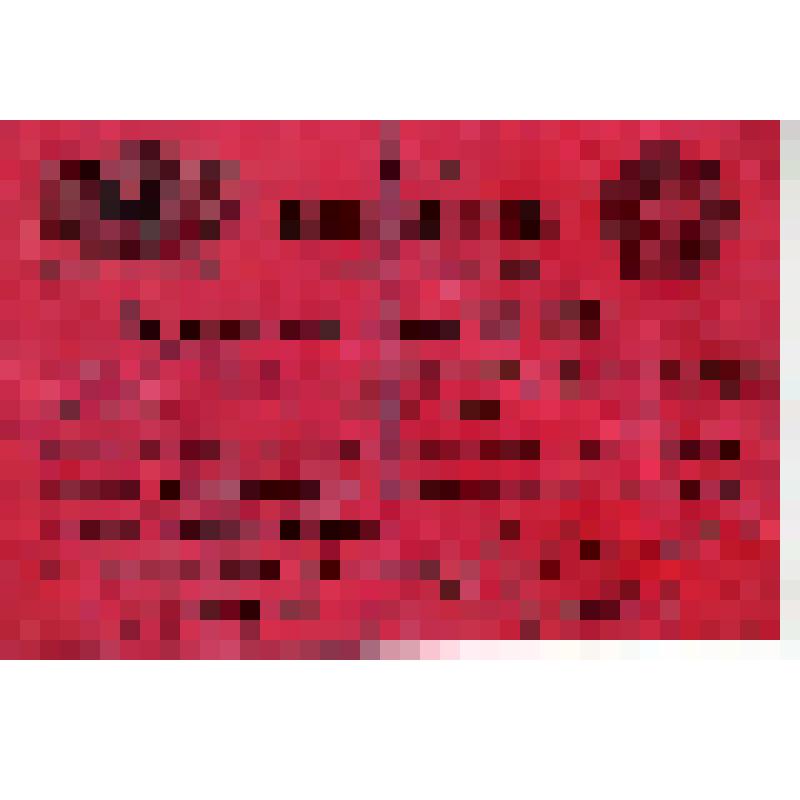 Делегатский билет N227 делегата на Х Всероссийский съезд Советов Бушуева С.М