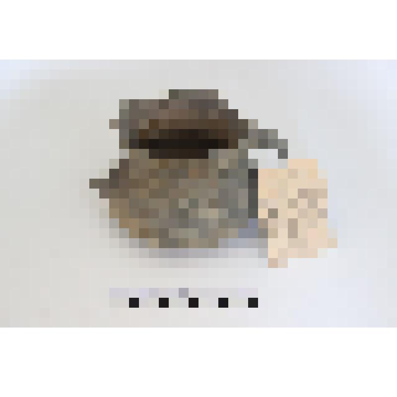 Керамический сосуд с орнаментом и коническими бугорками, с ручкой