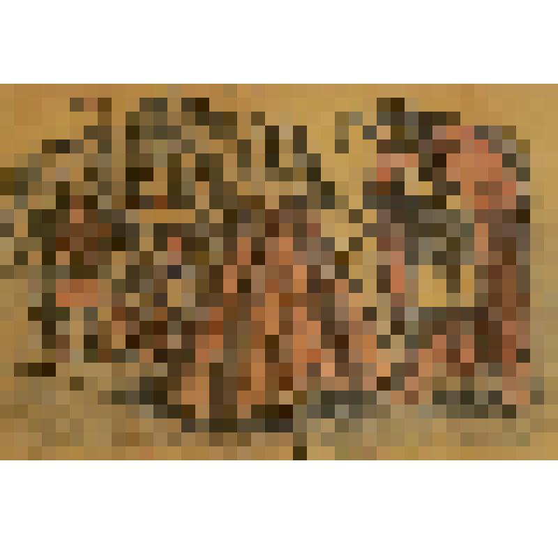 книжная графика "Богатырь господин Иван Сарапанчиков. Илл. к книге "Коми народные сказки""