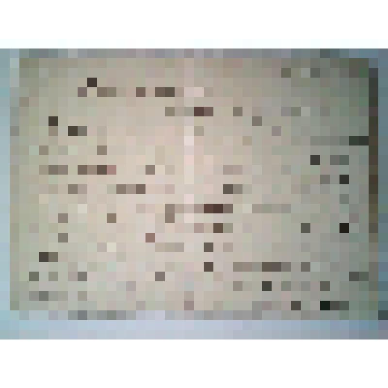 Письмо Александру Сергеевичу [Щербакову]