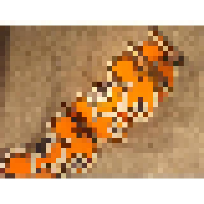 Украшение елочное «Гирлянда», из коллекции елочных игрушек и украшений