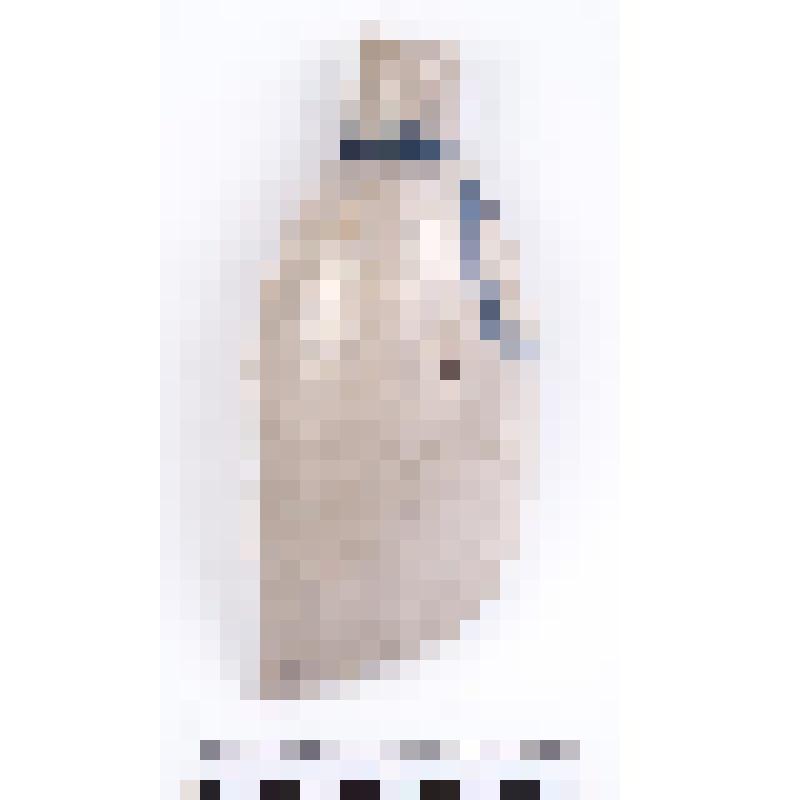 Сосуда фрагмент