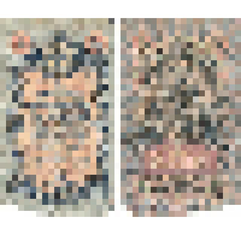 Банкнота. Государственный кредитный билет пять рублей