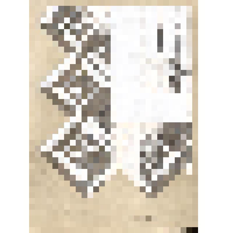 Зарисовка фрагмента вышивки на скатерти. Из альбома "Вышивка Калининской области. Альбом зарисовок и фотографий". Часть 2