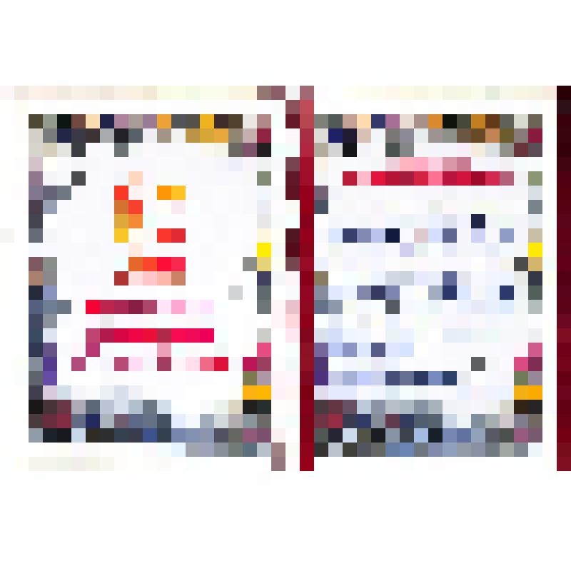 Приветственный адрес Президенту -Главе Правительства Республики Тыва Ш.Д.Ооржаку  от Министра здравоохранения Республики Тыва А.А. Начин г. Кызыл 2001 год