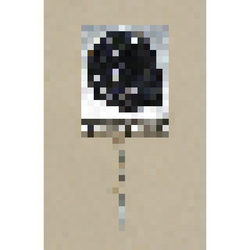 Значок с изображением В.И. Ленина, к 100-летию со дня рождения