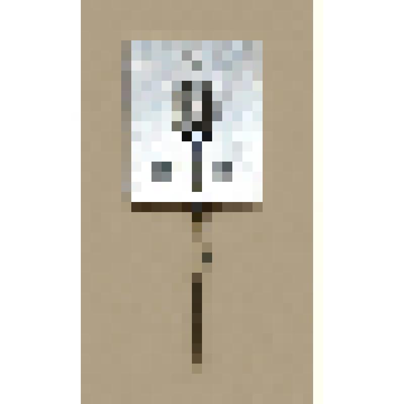 Значок с изображением В.И. Ленина, к 100-летию со дня рождения