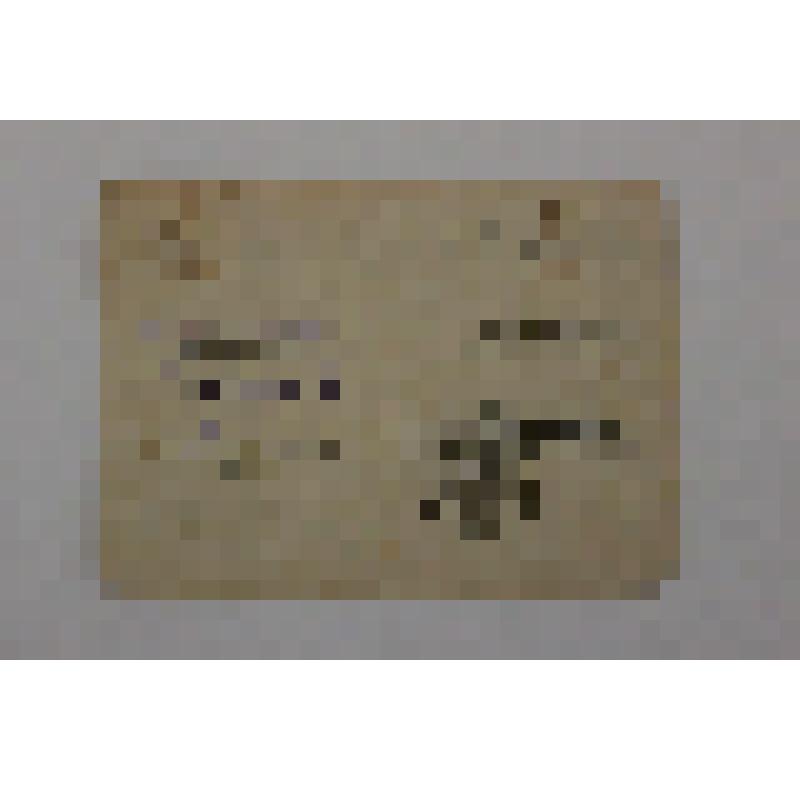 Удостоверение к знаку «25 лет победы в Великой Отечественной войне»