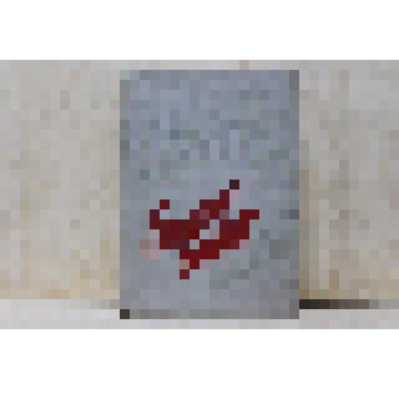 Голоса борьбы (на латышском языке) - Рига, Латвийское гос. изд-во, 1959 г. - 576 с