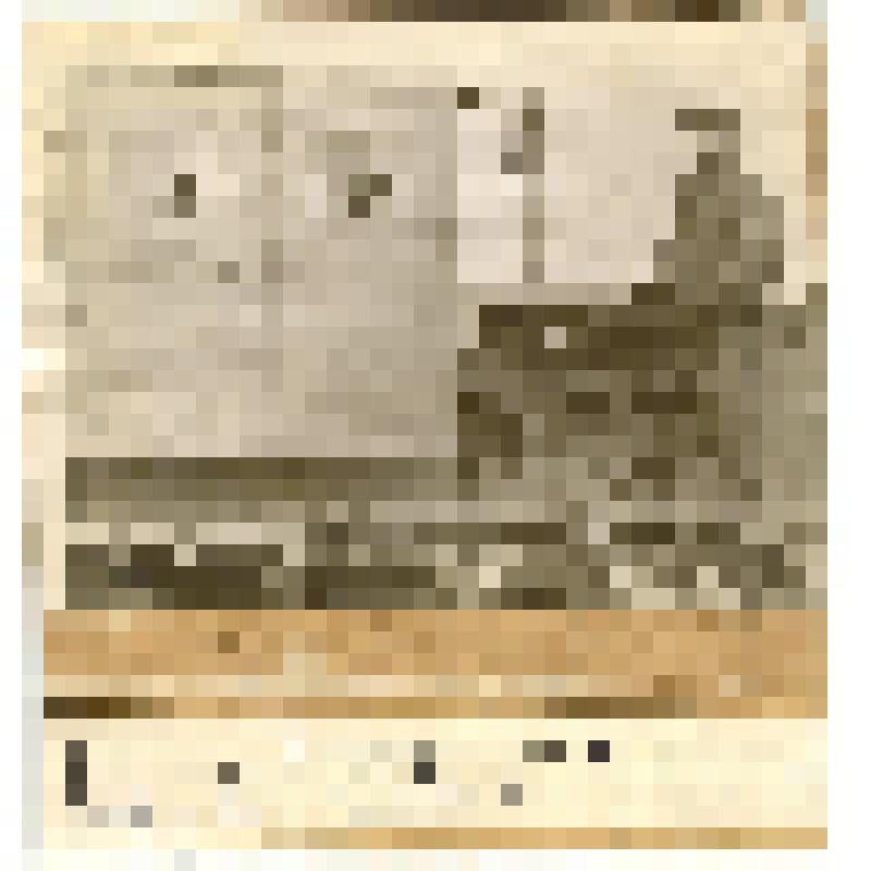 Фотография: Чухов Т., тракторист Попереченской МТС