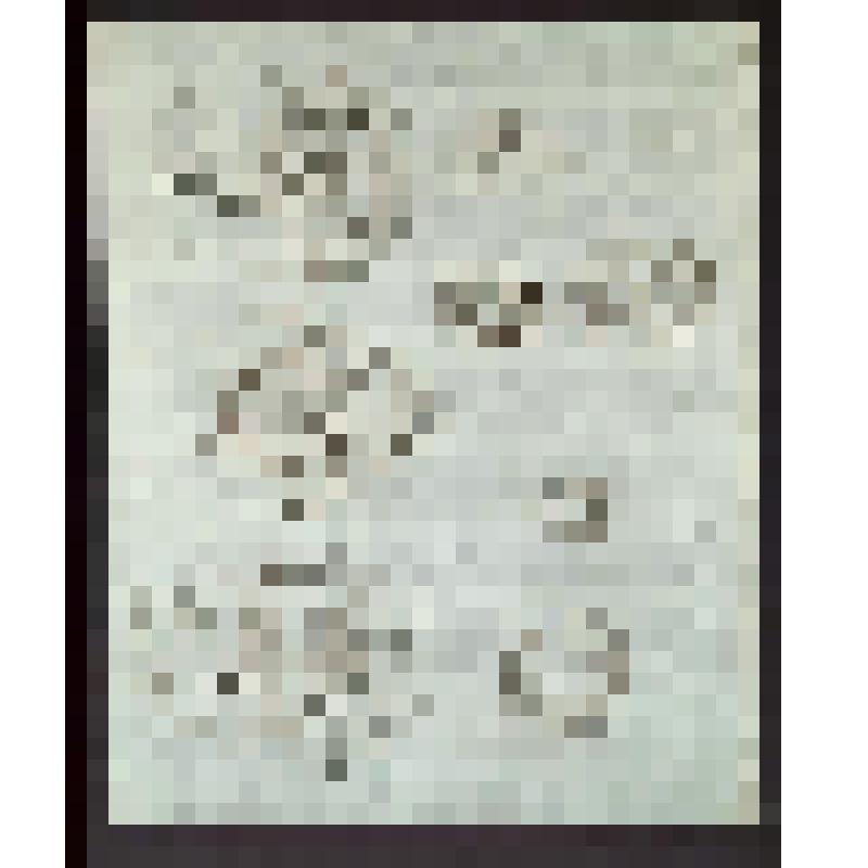 Рисунок для вышивания