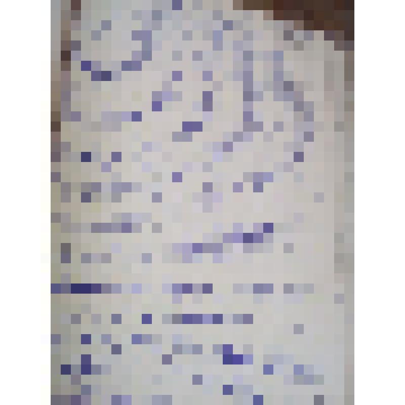 Письмо с фронта