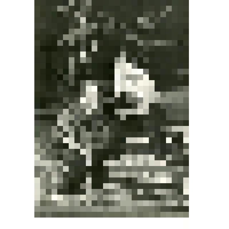 Фотография. Сеня, студент - Ю. Комиссаров, Максим - А. Кутепов, оба сидят, один - читает, другой - его слушает. "Камень-птица" (Пост. - А. Харламова. Худ. - Н. Золотарев.). Москва, Центральный театр Советской армии