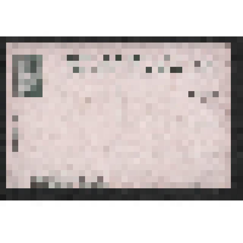 Открытка. Снегъ выпалъ. № 37