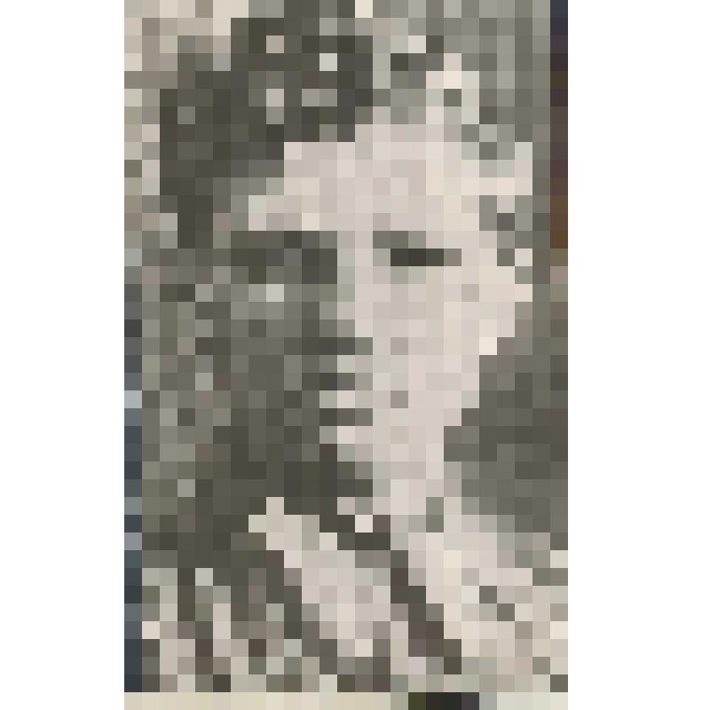Фотокопия. Рогова Софья - летчик