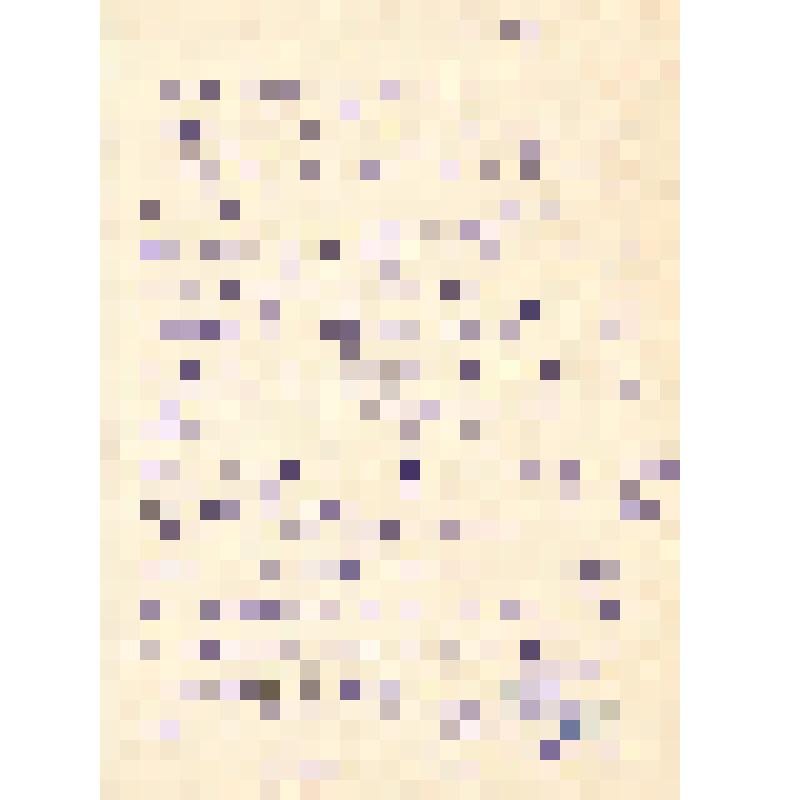 Письмо от Е.Беккер Ел.Ф.Гнесиной 31.05.1955 г