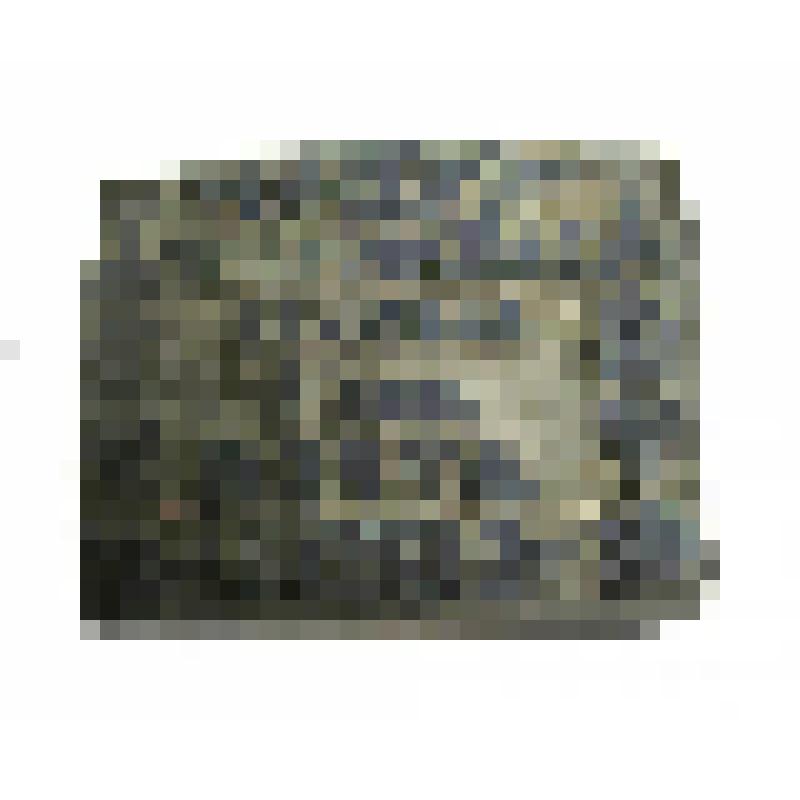 Клише рисунка земской почтовой марки Бобровского уезда Воронежской губернии