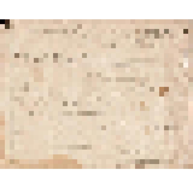 Телеграмма № 2726 в г. Чердынь В. Н.Алину от Беренова из г. Екатеринбурга, 19.08.1884 г