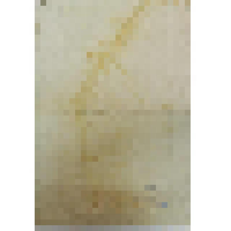 С собственного рисунка с живописи Аннибале Карраччи в палаццо Фарнезе в Риме