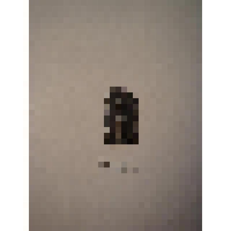 Жетон с изображением Л.Н.Толстого