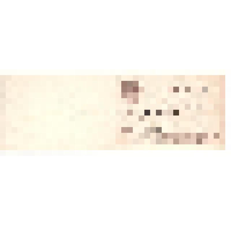 Пропуск депутата Верховного Совета СССР В.Р. Семыкин