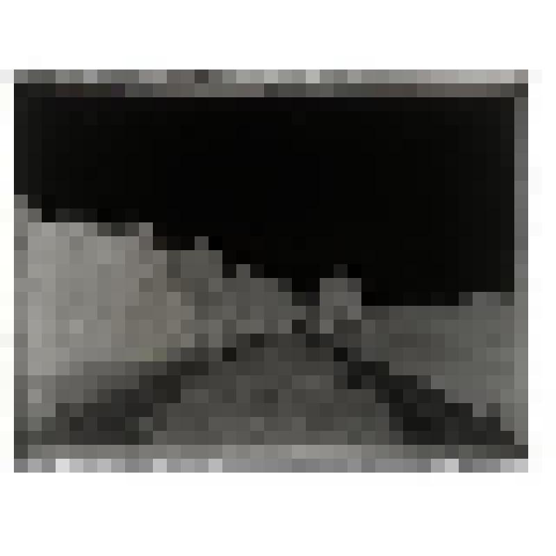 Дорога из Михайловского в Тригорское