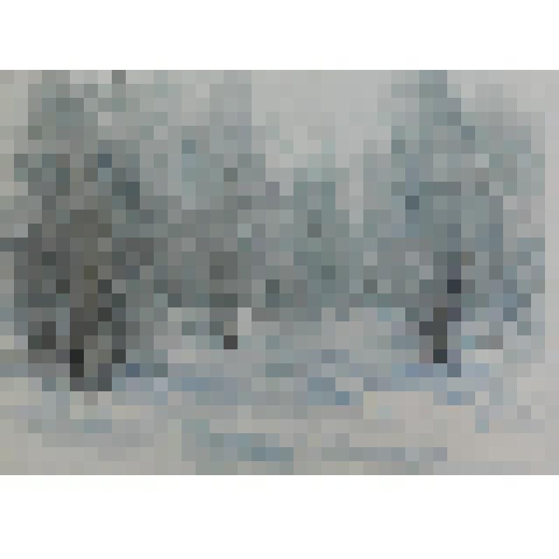 Акварель. Зимний день