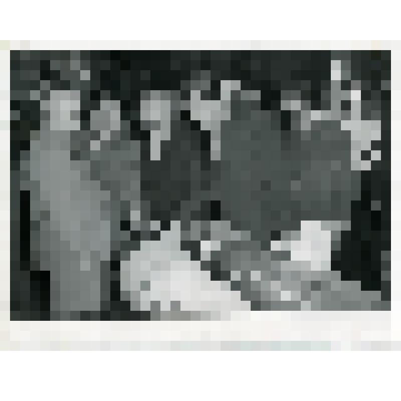 Первый секретарь ЦК КПСС Н.С. Хрущев на совещании руководящих работников министерства угольной промышленности Украинской ССР, министерства строительства предприятий угольной промышленности Украинской ССР, руководителей партийных организаций Сталинской и Л