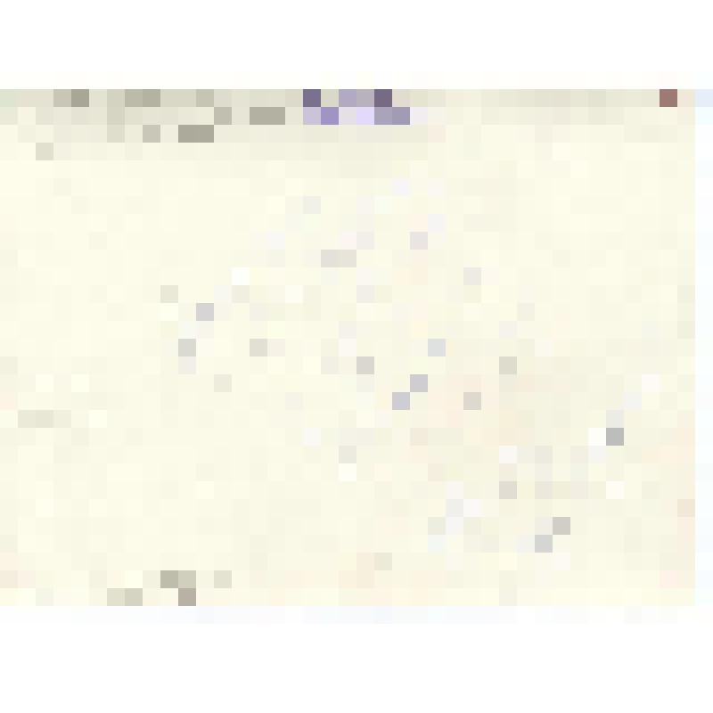 "Бригадир Махрин и чумработница Гыванны, бр-да №2 с/за "Турваургин". Фотография черно-белая