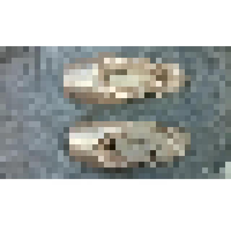 Пуанты  Ананиашвили.Н.Г. (Англия). с автографами на грузинском и русском языках