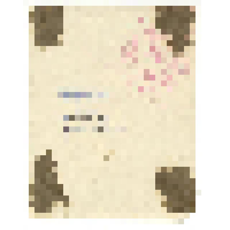 Фотопортрет. Дмитрий Александрович Быстролетов (1901 - 1975 гг.), советский разведчик-нелегал