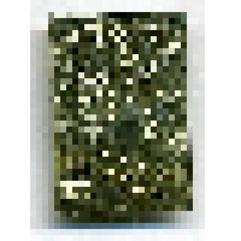 Значок "Челябинская область. 1956, 1970"