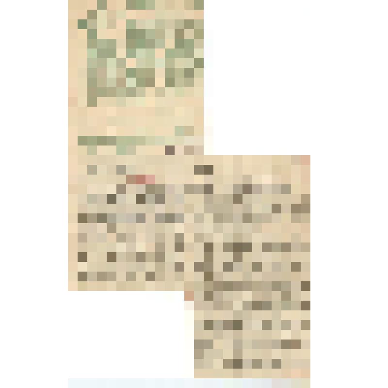 Газетная вырезка. "Der Don kozaken chor begeisterte". Заметка в газете "Wolfsburgen Nachrichten" от 2 января. На немецком языке