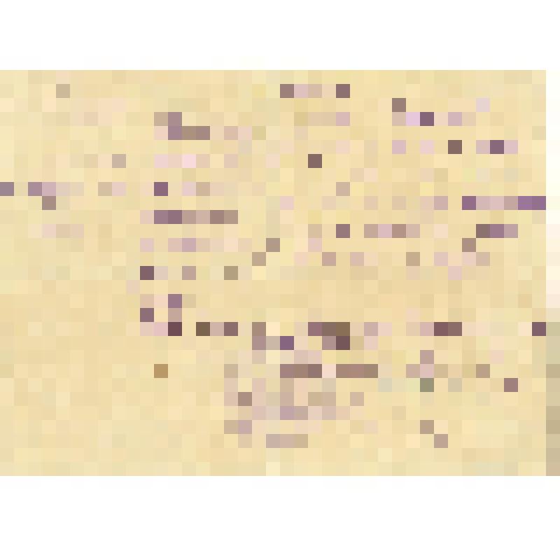 Справка № 17 о работе Быковой Клары Александровны физруком в пионерлагере № 6 обкома профсоюза хлебопечения