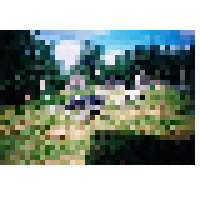 Фотография цветная "Хантыйское подворье"