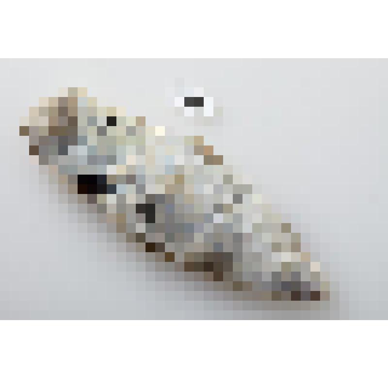 Наконечник копья