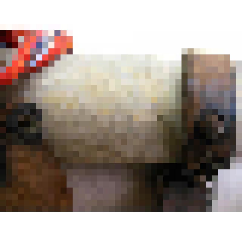 Конёк левый