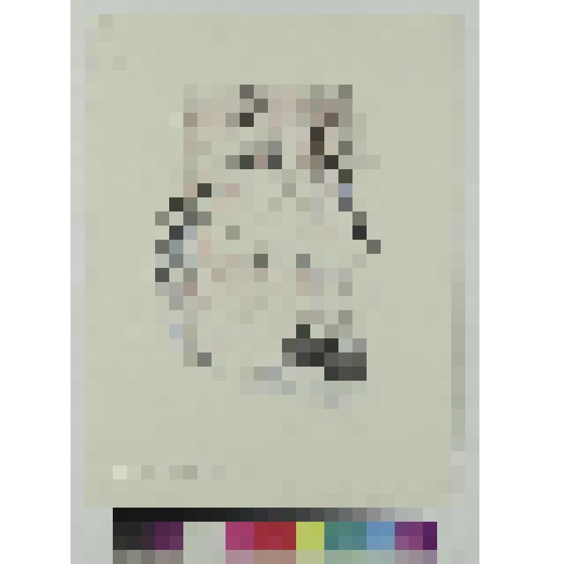 Иллюстрация к роману Колетт «Странница», гравюра