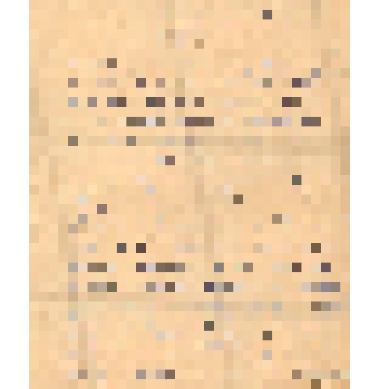 Письмо Е. Рогозневой